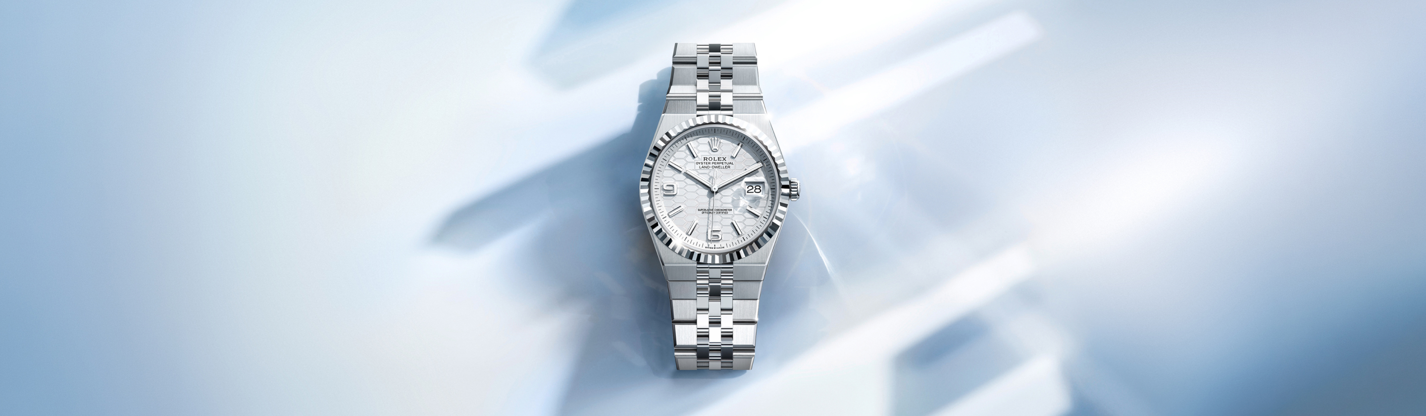 rolex new land dweller watches 2025 - royal de versailles